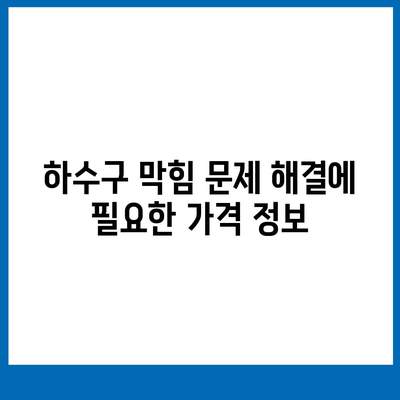 대전시 서구 복수동 하수구막힘 | 가격 | 비용 | 기름제거 | 싱크대 | 변기 | 세면대 | 역류 | 냄새차단 | 2024 후기