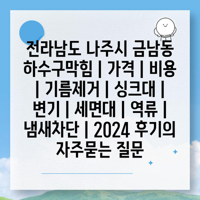 전라남도 나주시 금남동 하수구막힘 | 가격 | 비용 | 기름제거 | 싱크대 | 변기 | 세면대 | 역류 | 냄새차단 | 2024 후기