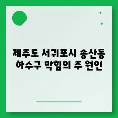 제주도 서귀포시 송산동 하수구막힘 | 가격 | 비용 | 기름제거 | 싱크대 | 변기 | 세면대 | 역류 | 냄새차단 | 2024 후기