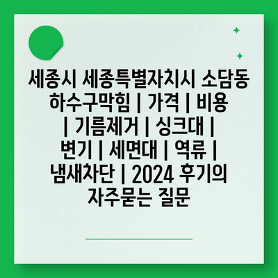 세종시 세종특별자치시 소담동 하수구막힘 | 가격 | 비용 | 기름제거 | 싱크대 | 변기 | 세면대 | 역류 | 냄새차단 | 2024 후기