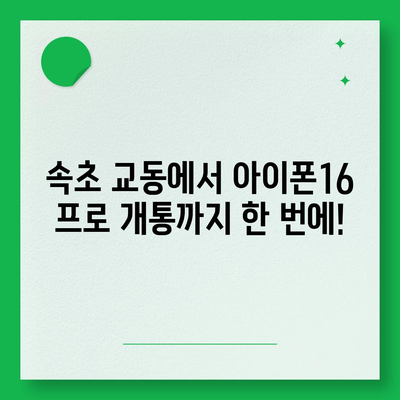 강원도 속초시 교동 아이폰16 프로 사전예약 | 출시일 | 가격 | PRO | SE1 | 디자인 | 프로맥스 | 색상 | 미니 | 개통