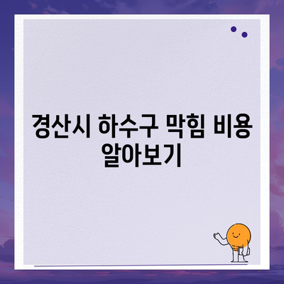 경상북도 경산시 중방동 하수구막힘 | 가격 | 비용 | 기름제거 | 싱크대 | 변기 | 세면대 | 역류 | 냄새차단 | 2024 후기