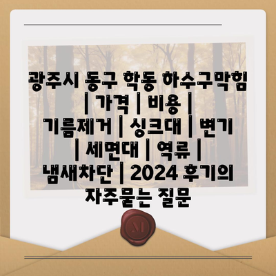 광주시 동구 학동 하수구막힘 | 가격 | 비용 | 기름제거 | 싱크대 | 변기 | 세면대 | 역류 | 냄새차단 | 2024 후기