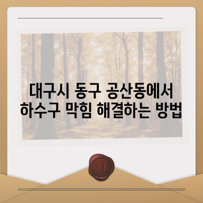 대구시 동구 공산동 하수구막힘 | 가격 | 비용 | 기름제거 | 싱크대 | 변기 | 세면대 | 역류 | 냄새차단 | 2024 후기