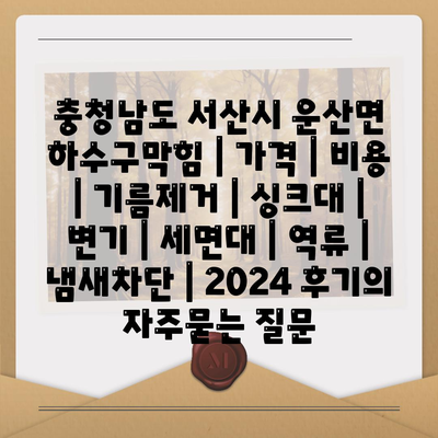 충청남도 서산시 운산면 하수구막힘 | 가격 | 비용 | 기름제거 | 싱크대 | 변기 | 세면대 | 역류 | 냄새차단 | 2024 후기