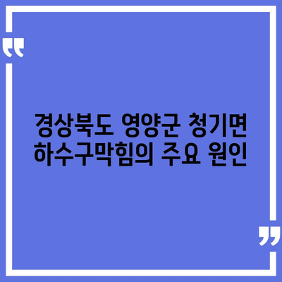 경상북도 영양군 청기면 하수구막힘 | 가격 | 비용 | 기름제거 | 싱크대 | 변기 | 세면대 | 역류 | 냄새차단 | 2024 후기