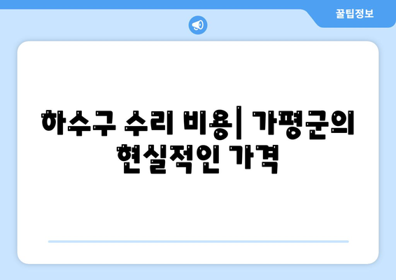 경기도 가평군 북면 하수구막힘 | 가격 | 비용 | 기름제거 | 싱크대 | 변기 | 세면대 | 역류 | 냄새차단 | 2024 후기