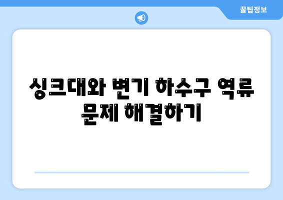 광주시 북구 동림동 하수구막힘 | 가격 | 비용 | 기름제거 | 싱크대 | 변기 | 세면대 | 역류 | 냄새차단 | 2024 후기