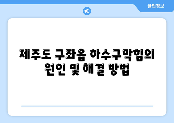 제주도 제주시 구좌읍 하수구막힘 | 가격 | 비용 | 기름제거 | 싱크대 | 변기 | 세면대 | 역류 | 냄새차단 | 2024 후기