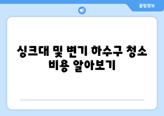 서울시 도봉구 쌍문2동 하수구막힘 | 가격 | 비용 | 기름제거 | 싱크대 | 변기 | 세면대 | 역류 | 냄새차단 | 2024 후기