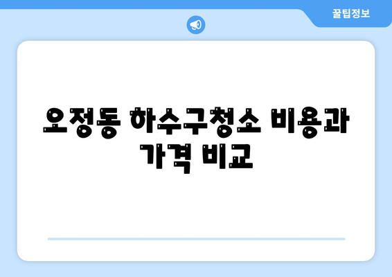 대전시 대덕구 오정동 하수구막힘 | 가격 | 비용 | 기름제거 | 싱크대 | 변기 | 세면대 | 역류 | 냄새차단 | 2024 후기