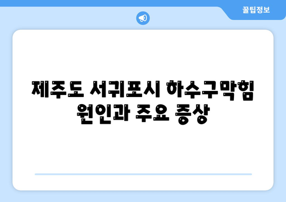 제주도 서귀포시 천지동 하수구막힘 | 가격 | 비용 | 기름제거 | 싱크대 | 변기 | 세면대 | 역류 | 냄새차단 | 2024 후기