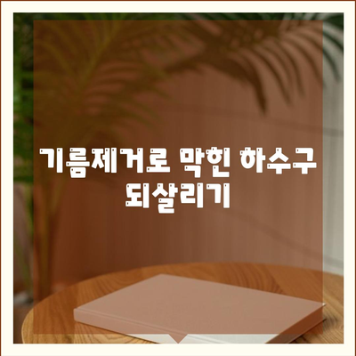 제주도 제주시 구좌읍 하수구막힘 | 가격 | 비용 | 기름제거 | 싱크대 | 변기 | 세면대 | 역류 | 냄새차단 | 2024 후기