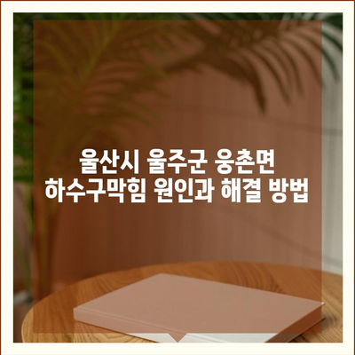 울산시 울주군 웅촌면 하수구막힘 | 가격 | 비용 | 기름제거 | 싱크대 | 변기 | 세면대 | 역류 | 냄새차단 | 2024 후기