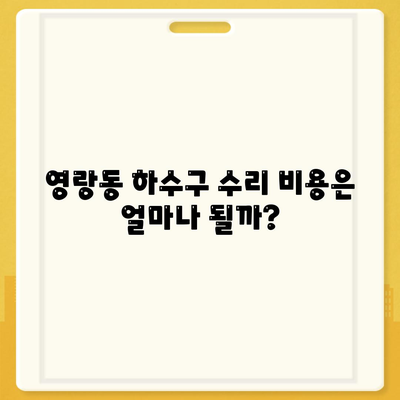 강원도 속초시 영랑동 하수구막힘 | 가격 | 비용 | 기름제거 | 싱크대 | 변기 | 세면대 | 역류 | 냄새차단 | 2024 후기