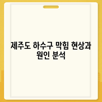 제주도 제주시 삼도2동 하수구막힘 | 가격 | 비용 | 기름제거 | 싱크대 | 변기 | 세면대 | 역류 | 냄새차단 | 2024 후기