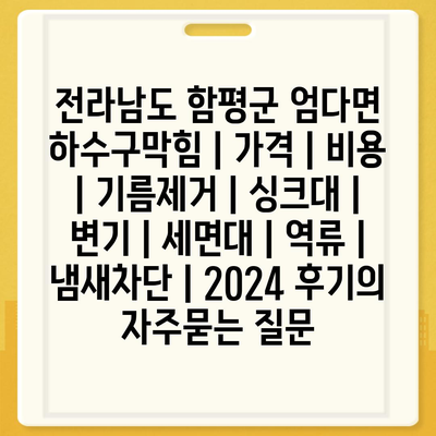 전라남도 함평군 엄다면 하수구막힘 | 가격 | 비용 | 기름제거 | 싱크대 | 변기 | 세면대 | 역류 | 냄새차단 | 2024 후기