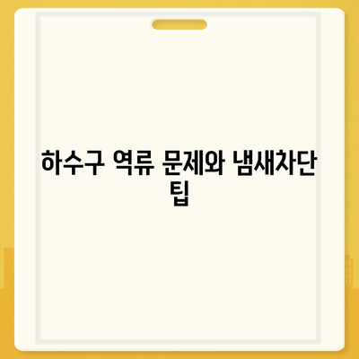 충청북도 충주시 지현동 하수구막힘 | 가격 | 비용 | 기름제거 | 싱크대 | 변기 | 세면대 | 역류 | 냄새차단 | 2024 후기