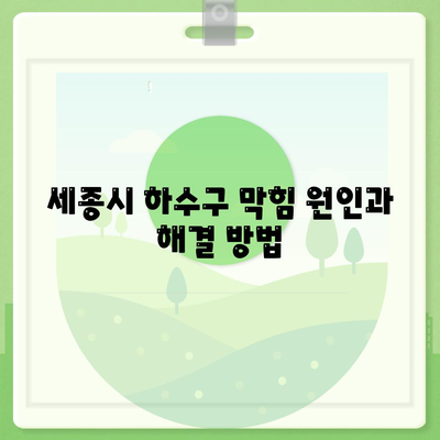 세종시 세종특별자치시 장군면 하수구막힘 | 가격 | 비용 | 기름제거 | 싱크대 | 변기 | 세면대 | 역류 | 냄새차단 | 2024 후기