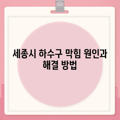 세종시 세종특별자치시 고운동 하수구막힘 | 가격 | 비용 | 기름제거 | 싱크대 | 변기 | 세면대 | 역류 | 냄새차단 | 2024 후기