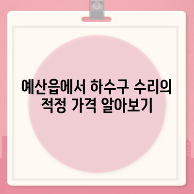 충청남도 예산군 예산읍 하수구막힘 | 가격 | 비용 | 기름제거 | 싱크대 | 변기 | 세면대 | 역류 | 냄새차단 | 2024 후기