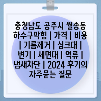 충청남도 공주시 월송동 하수구막힘 | 가격 | 비용 | 기름제거 | 싱크대 | 변기 | 세면대 | 역류 | 냄새차단 | 2024 후기