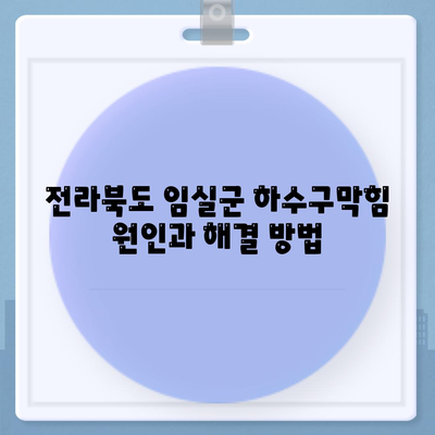 전라북도 임실군 강진면 하수구막힘 | 가격 | 비용 | 기름제거 | 싱크대 | 변기 | 세면대 | 역류 | 냄새차단 | 2024 후기