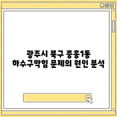 광주시 북구 중흥1동 하수구막힘 | 가격 | 비용 | 기름제거 | 싱크대 | 변기 | 세면대 | 역류 | 냄새차단 | 2024 후기