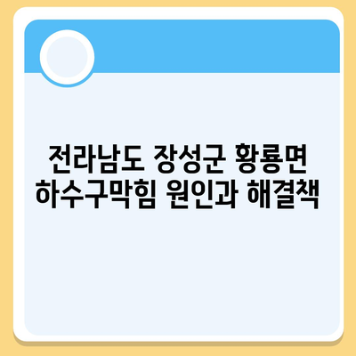 전라남도 장성군 황룡면 하수구막힘 | 가격 | 비용 | 기름제거 | 싱크대 | 변기 | 세면대 | 역류 | 냄새차단 | 2024 후기