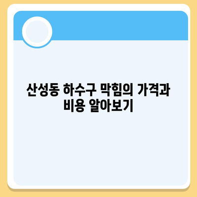 대전시 중구 산성동 하수구막힘 | 가격 | 비용 | 기름제거 | 싱크대 | 변기 | 세면대 | 역류 | 냄새차단 | 2024 후기