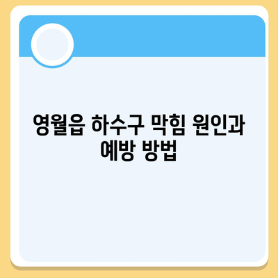 강원도 영월군 영월읍 하수구막힘 | 가격 | 비용 | 기름제거 | 싱크대 | 변기 | 세면대 | 역류 | 냄새차단 | 2024 후기