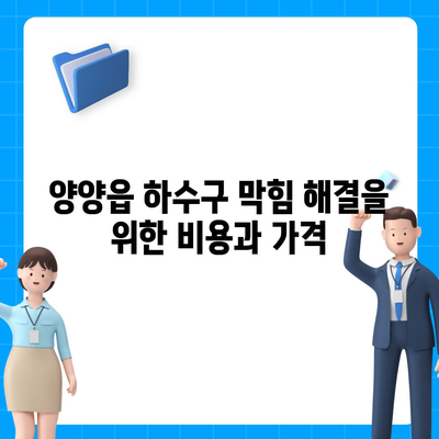 강원도 양양군 양양읍 하수구막힘 | 가격 | 비용 | 기름제거 | 싱크대 | 변기 | 세면대 | 역류 | 냄새차단 | 2024 후기