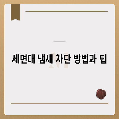 대전시 중구 대흥동 하수구막힘 | 가격 | 비용 | 기름제거 | 싱크대 | 변기 | 세면대 | 역류 | 냄새차단 | 2024 후기