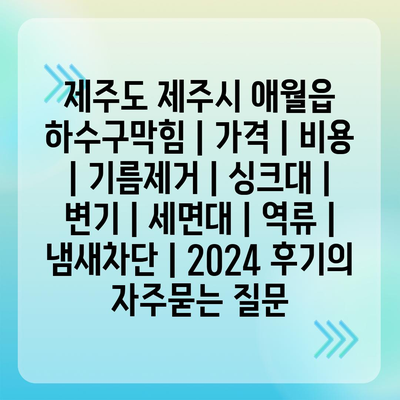 제주도 제주시 애월읍 하수구막힘 | 가격 | 비용 | 기름제거 | 싱크대 | 변기 | 세면대 | 역류 | 냄새차단 | 2024 후기