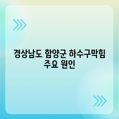 경상남도 함양군 병곡면 하수구막힘 | 가격 | 비용 | 기름제거 | 싱크대 | 변기 | 세면대 | 역류 | 냄새차단 | 2024 후기