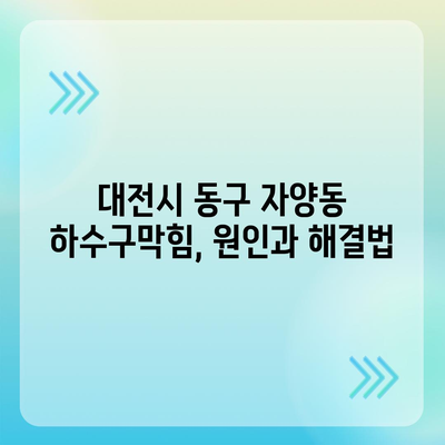 대전시 동구 자양동 하수구막힘 | 가격 | 비용 | 기름제거 | 싱크대 | 변기 | 세면대 | 역류 | 냄새차단 | 2024 후기