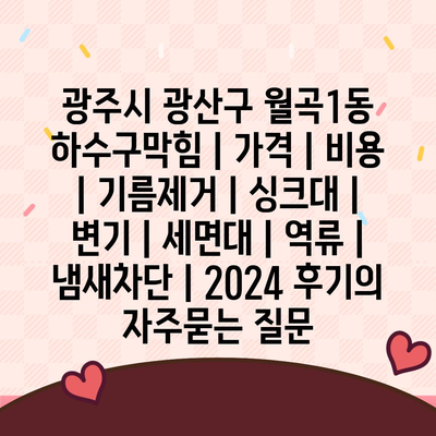 광주시 광산구 월곡1동 하수구막힘 | 가격 | 비용 | 기름제거 | 싱크대 | 변기 | 세면대 | 역류 | 냄새차단 | 2024 후기