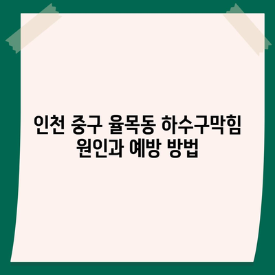 인천시 중구 율목동 하수구막힘 | 가격 | 비용 | 기름제거 | 싱크대 | 변기 | 세면대 | 역류 | 냄새차단 | 2024 후기