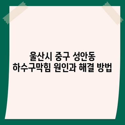 울산시 중구 성안동 하수구막힘 | 가격 | 비용 | 기름제거 | 싱크대 | 변기 | 세면대 | 역류 | 냄새차단 | 2024 후기