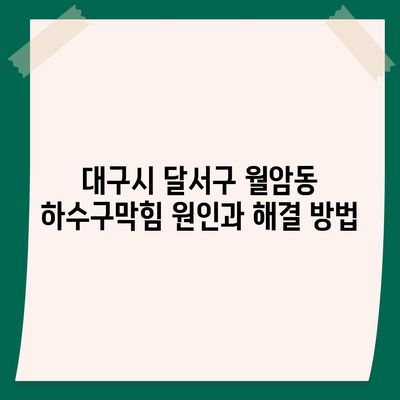 대구시 달서구 월암동 하수구막힘 | 가격 | 비용 | 기름제거 | 싱크대 | 변기 | 세면대 | 역류 | 냄새차단 | 2024 후기