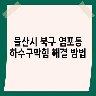 울산시 북구 염포동 하수구막힘 | 가격 | 비용 | 기름제거 | 싱크대 | 변기 | 세면대 | 역류 | 냄새차단 | 2024 후기