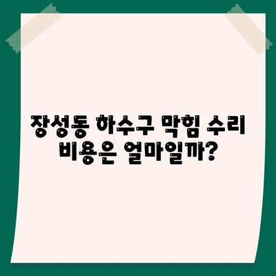 충청북도 청주시 서원구 장성동 하수구막힘 | 가격 | 비용 | 기름제거 | 싱크대 | 변기 | 세면대 | 역류 | 냄새차단 | 2024 후기