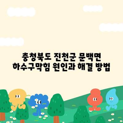 충청북도 진천군 문백면 하수구막힘 | 가격 | 비용 | 기름제거 | 싱크대 | 변기 | 세면대 | 역류 | 냄새차단 | 2024 후기