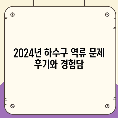 전라남도 장성군 황룡면 하수구막힘 | 가격 | 비용 | 기름제거 | 싱크대 | 변기 | 세면대 | 역류 | 냄새차단 | 2024 후기