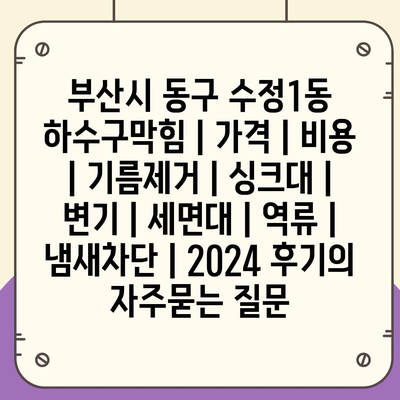 부산시 동구 수정1동 하수구막힘 | 가격 | 비용 | 기름제거 | 싱크대 | 변기 | 세면대 | 역류 | 냄새차단 | 2024 후기