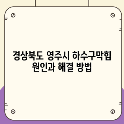 경상북도 영주시 단산면 하수구막힘 | 가격 | 비용 | 기름제거 | 싱크대 | 변기 | 세면대 | 역류 | 냄새차단 | 2024 후기