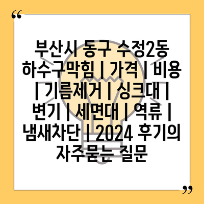 부산시 동구 수정2동 하수구막힘 | 가격 | 비용 | 기름제거 | 싱크대 | 변기 | 세면대 | 역류 | 냄새차단 | 2024 후기