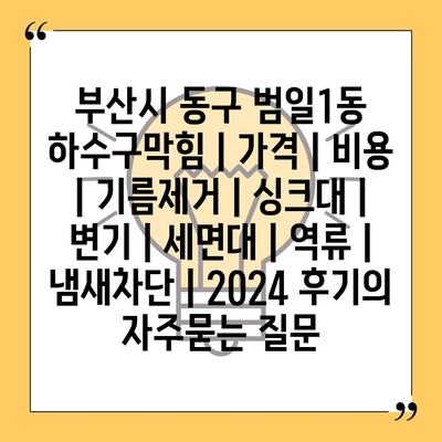 부산시 동구 범일1동 하수구막힘 | 가격 | 비용 | 기름제거 | 싱크대 | 변기 | 세면대 | 역류 | 냄새차단 | 2024 후기