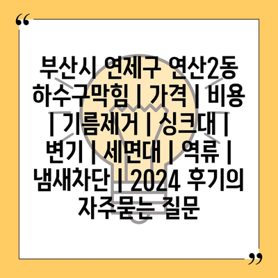 부산시 연제구 연산2동 하수구막힘 | 가격 | 비용 | 기름제거 | 싱크대 | 변기 | 세면대 | 역류 | 냄새차단 | 2024 후기