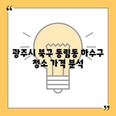 광주시 북구 동림동 하수구막힘 | 가격 | 비용 | 기름제거 | 싱크대 | 변기 | 세면대 | 역류 | 냄새차단 | 2024 후기